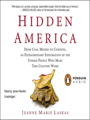 cover image of Hidden America